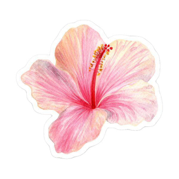 Sticker Hibiscus rosa