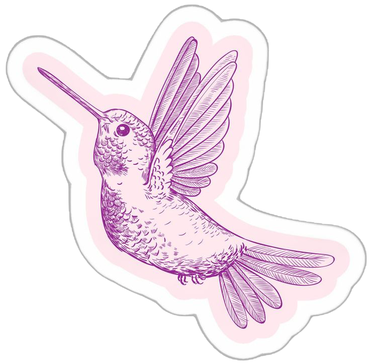 Sticker Colibrí