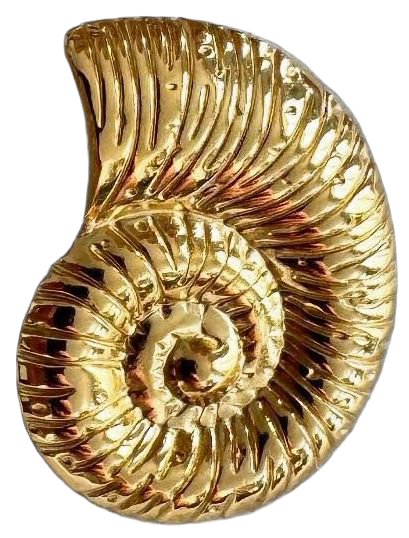 Sticker Celestial Shell