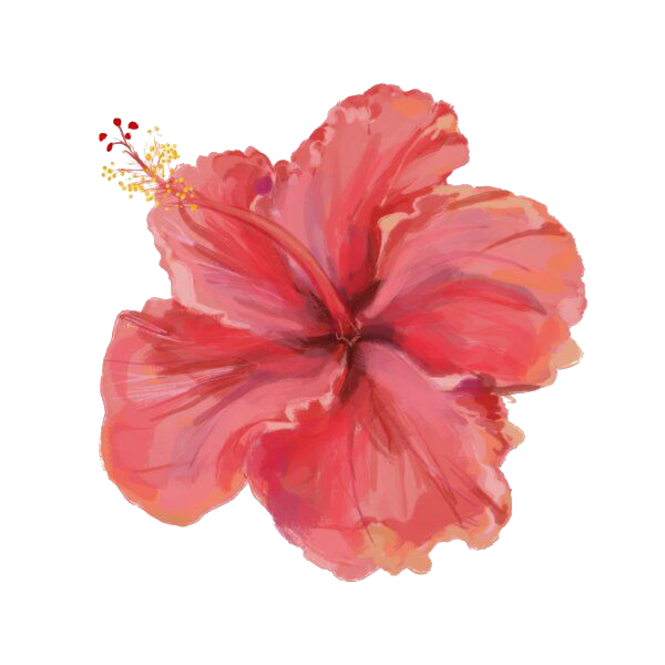 Sticker rosa de China