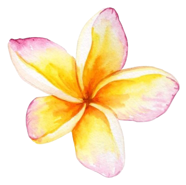Sticker Plumeria