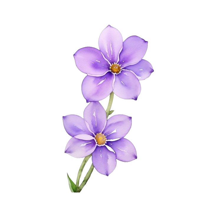 Sticker crocus