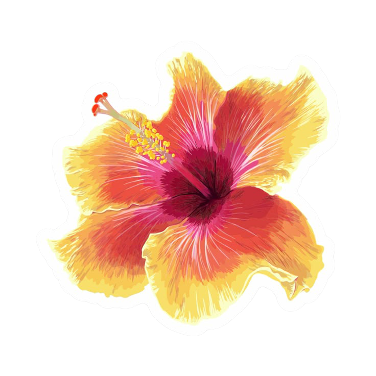 Sticker Hibiscus